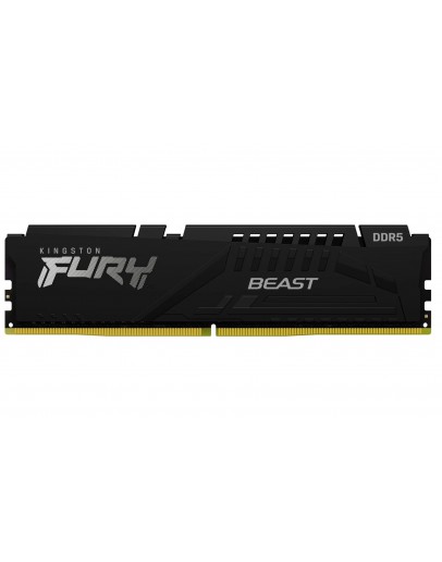 32G DDR5 6000 KING EXPO