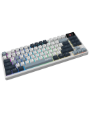 MSI FORGE GK600 TKL WIRELESS SKY - Hot-Swappable