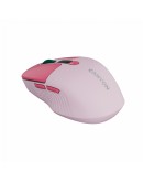 CANYON mouse MW-26 LCD Silent Dual Mode Wireless