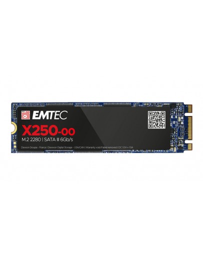 EMTEC SSD X250 256G M2 SATA