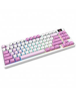 MSI FORGE GK600 TKL WIRELESS VIOLET -