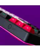 LORGAR KBP70MW, Wireless 65% Mechanical Gaming