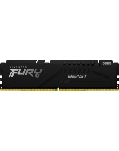 16G DDR5 6000 KING EXPO BEAST