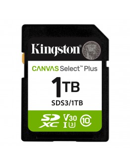 1TB SD KINGST SDS3