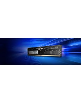 32G DDR5 5600 ADATA
