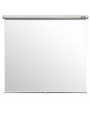 ACER PROJECT SCREEN M87-S01MW
