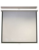ACER PROJECT SCREEN M87-S01MW