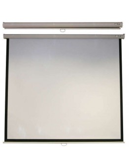 ACER PROJECT SCREEN M87-S01MW