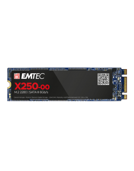 EMTEC SSD X250 256G M2 SATA