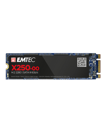 EMTEC SSD X250 256G M2 SATA