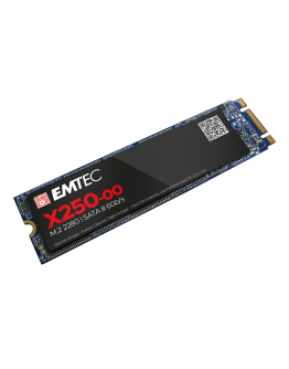 EMTEC SSD X250 256G M2 SATA