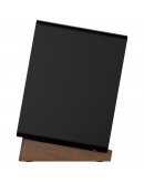 Onkyo Creator Series GX-30ARC Powered Speakers,