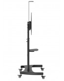 Neomounts Mobile Flat Screen Floor Stand (height: 