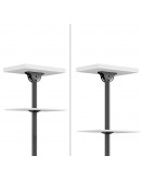 Neomounts Flat Screen Ceiling Mount (Height: 250-3