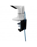 Neomounts Flat Screen Desk mount (10-32) desk clam