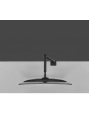 Neomounts Next One Desk Mount, single display (top