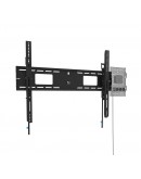 Neomounts Level-750 Wall Mount (XL, 100 kg, tiltab