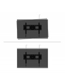 Neomounts Level-750 Wall Mount (XL, 125 kg, tiltab