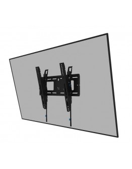 Neomounts Level-750 Wall Mount (XL, 125 kg, tiltab