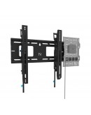 Neomounts Level-750 Wall Mount (XL, 125 kg, tiltab
