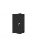 Lanberg rack cabinet 10 wall-mount 12U/280x310 for