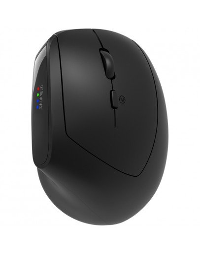 CANYON mouse MW-25 Ergonomic LED AA Dual mode
