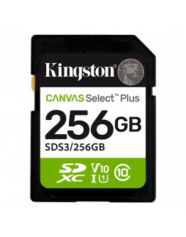256G SD KINGST CANVAS SEL+ G3