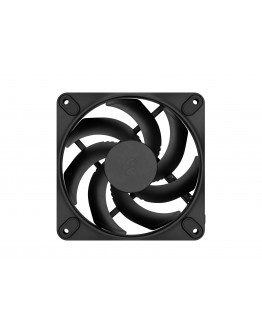 FD MOMENTUM 12 BLACK