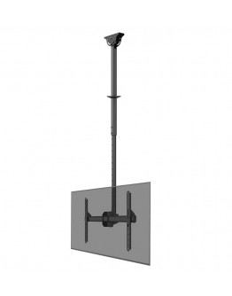 Neomounts Flat Screen Ceiling Mount (Height: 106-1