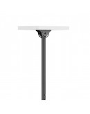 Neomounts Flat Screen Ceiling Mount (Height: 106-1