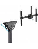 Neomounts Flat Screen Ceiling Mount (Height: 106-1