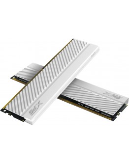 2X16G DDR4 3600 XPG D45