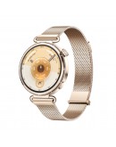 Huawei Watch GT6, Konsu-B19M, Millanese