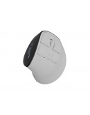 Natec Euphonie Vertical Mouse PRO Wireless  BT 5.0