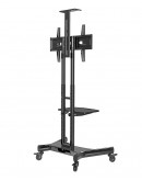 Neomounts Mobile Flat Screen Floor Stand (32-75)