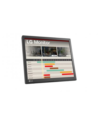 Монитор LG 17BR30T-B