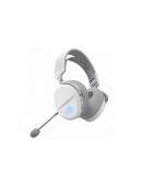 Asus,A501ROGPELTA/WHT