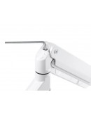 Neomounts Monitor arm 10-49