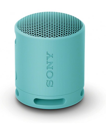 Sony SRS-XB100 Portable Bluetooth Speaker