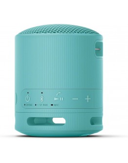 Sony SRS-XB100 Portable Bluetooth Speaker