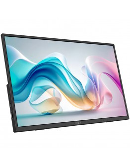 Монитор MSI PRO MP165 E6 Professional Business Portable