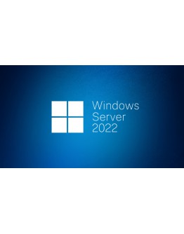 Windows Svr Std 2022 64Bit English 1pk DSP OEI DVD