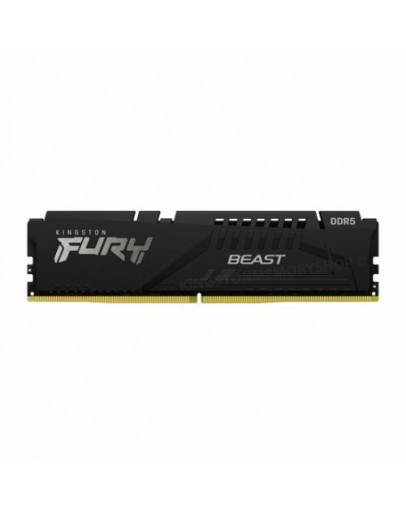 8G DDR5 5600 KINGSTON BEAST