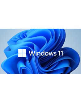 Microsoft Windows 11 Pro GGK 64Bit Eng Intl 1pk DS