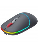 CANYON mouse MW-22 2in1 BT/ Wireless Dark