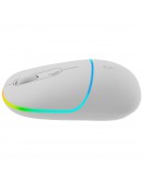 CANYON mouse MW-22 2in1 BT/ Wireless Snow