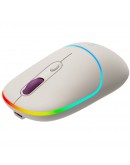 CANYON mouse MW-22 2in1 BT/ Wireless