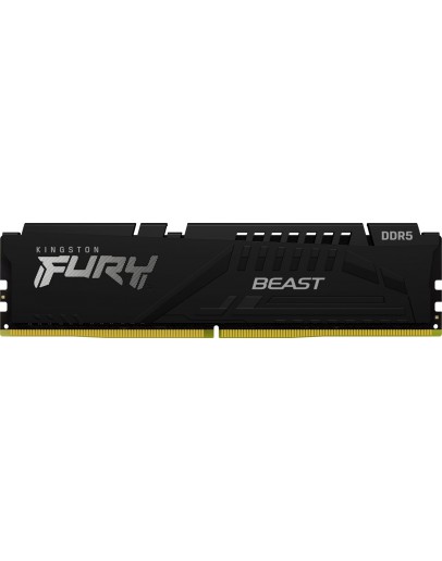 16G DDR5 6000 KING EXPO BEAST