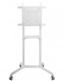 Neomounts Mobile Flat Screen Floor Stand (height: 