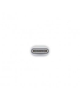 Apple USB-C to Lightning Adapter